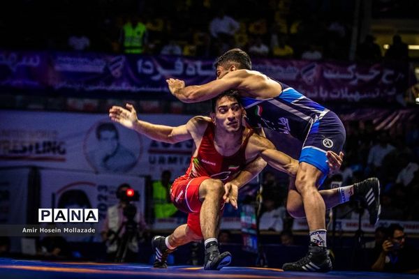 چهل و سومین دوره مسابقات کشتی آزاد جام تختی