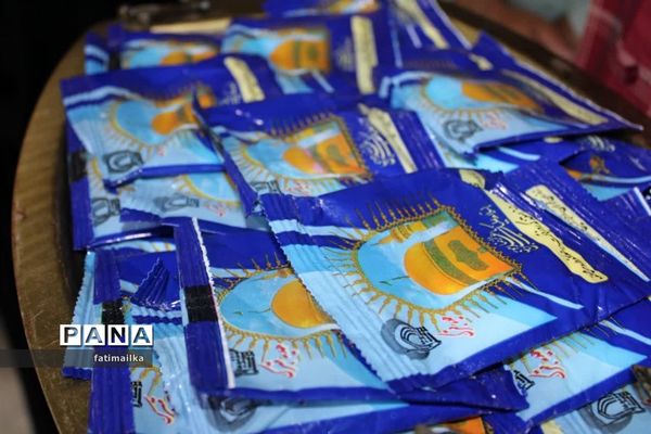 برگزاری آیین پرچم‌گردانی حرم مطهر امام‌رضا(ع) در آموزشگاه امام‌رضا(ع) فیروزکوه