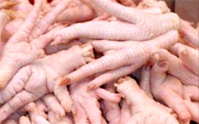 چشم بادامی‌ها به دنبال واردات 300 هزار تن پای مرغ از ایران هستند