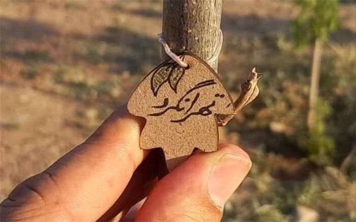 مستندی از زنبورداری در دامنه‌های رشته کوه‌های البرز  در «تهرانگرد»