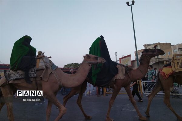 کاروان نمادین «اسرای کربلا» هیات دخیل العباس