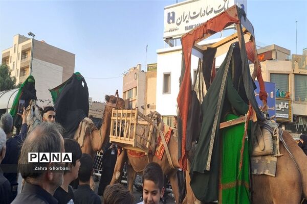 کاروان نمادین «اسرای کربلا» هیات دخیل العباس