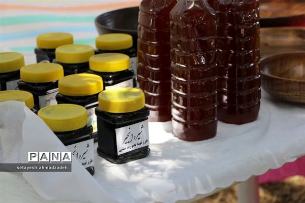 نمایشگاه انجیر، محصولات باغی و صنایع دستی در گلوگاه