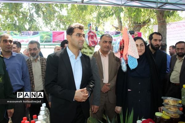نمایشگاه انجیر، محصولات باغی و صنایع دستی در گلوگاه
