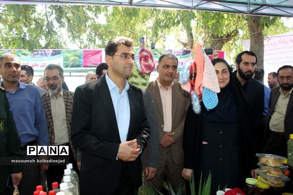 نمایشگاه انجیر، محصولات باغی و صنایع دستی در گلوگاه