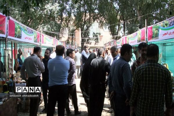 نمایشگاه انجیر، محصولات باغی و صنایع دستی در گلوگاه