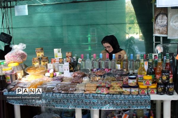 نمایشگاه انجیر، محصولات باغی و صنایع دستی در گلوگاه