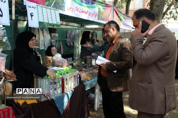 نمایشگاه انجیر، محصولات باغی و صنایع دستی در گلوگاه