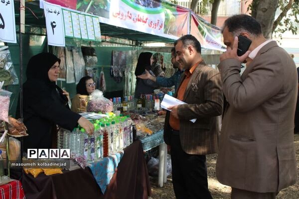 نمایشگاه انجیر، محصولات باغی و صنایع دستی در گلوگاه