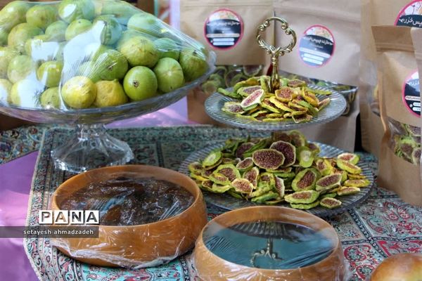 نمایشگاه انجیر، محصولات باغی و صنایع دستی در گلوگاه