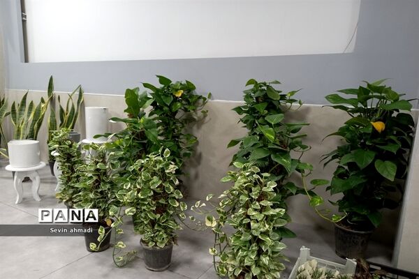 برپایی نمایشگاه گل و گیاه در فرهنگسرای بعثت صفادشت