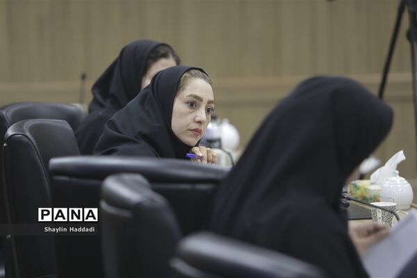 نشست خبری سرزمین هنری رسانه‌ای سورنا