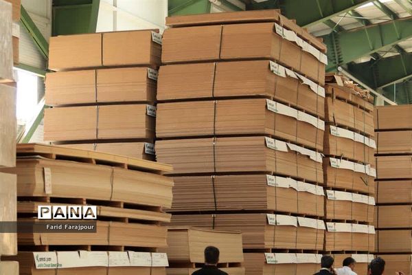 بازدید خبرنگاران از ظرفیت‌های منطقه آزاد ارس