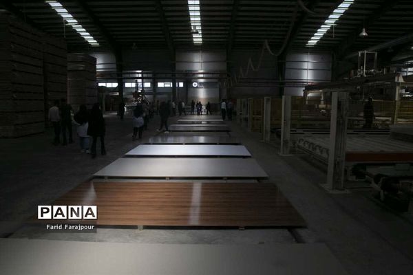 بازدید خبرنگاران از ظرفیت‌های منطقه آزاد ارس