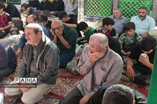 اجتماع عزاداران حسینی در آستان مقدس امامزاده ابراهیم(ع)ملارد
