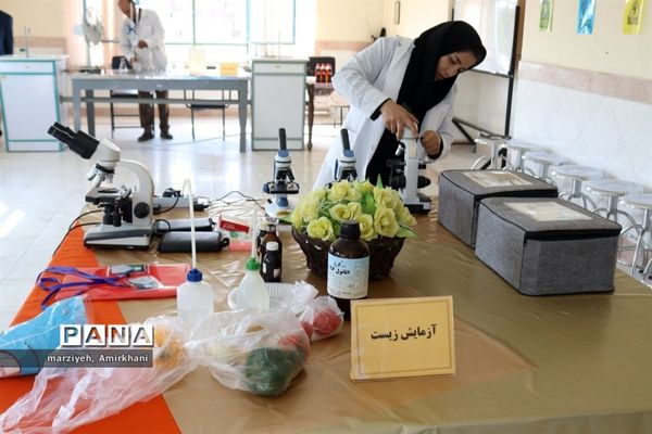 دانش‌آموزان امروز، تحلیل‌گران فردا