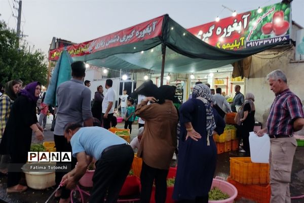 فصل آبغوره‌گیری در شیراز