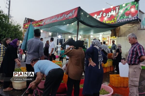 فصل آبغوره‌گیری در شیراز