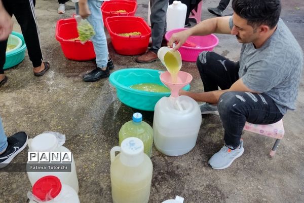 فصل آبغوره‌گیری در شیراز