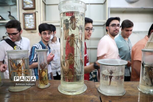 هفتمین دوره روزی با دانشگاه تهران