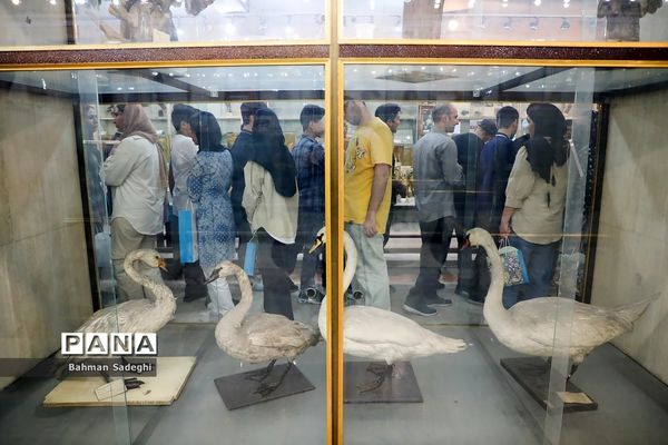 هفتمین دوره روزی با دانشگاه تهران