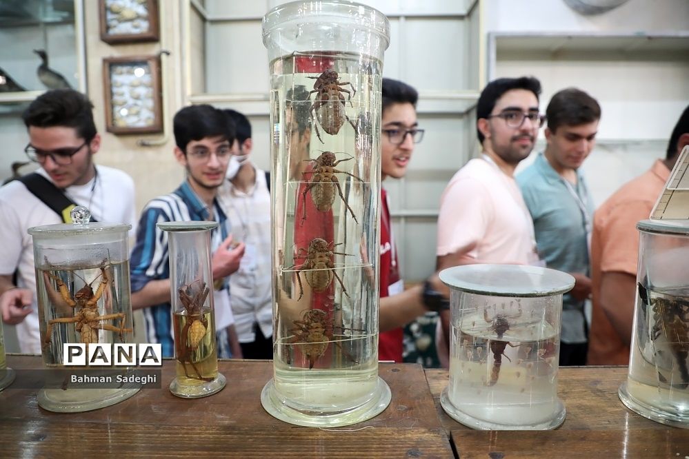 هفتمین دوره روزی با دانشگاه تهران