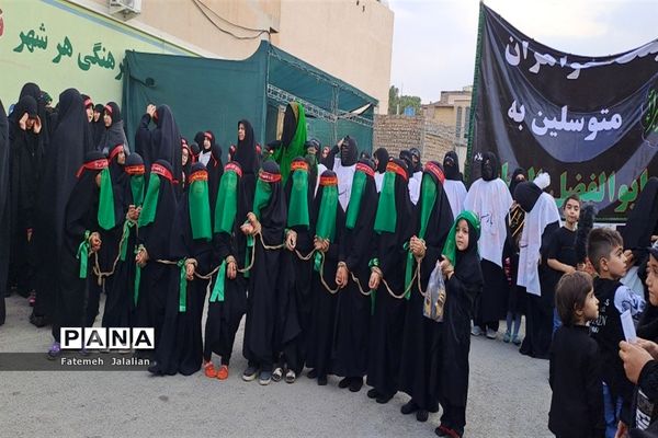 دسته عزاداری هیات بانوان استان قم