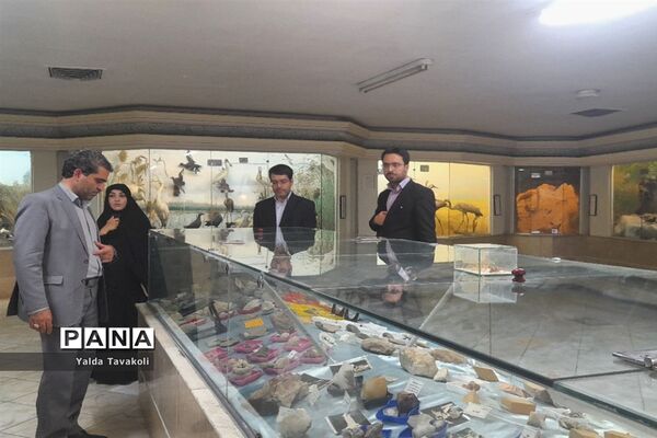 موزه علوم طبیعی ناحیه یک مشهد
