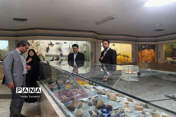 موزه علوم طبیعی ناحیه یک مشهد