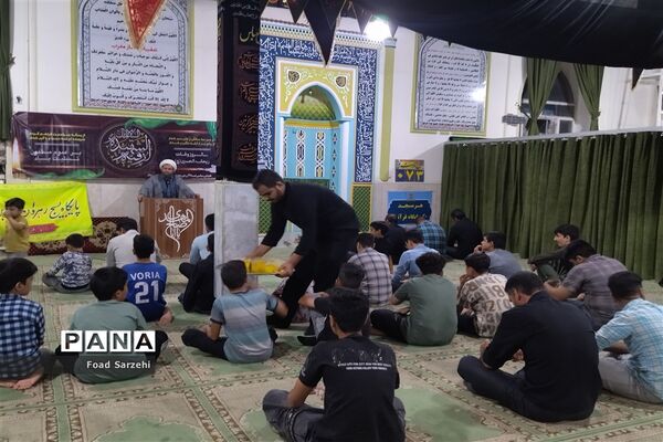برگزاری مراسم شهادت حضرت رقیه(س) در شهرستان تربت‌جام