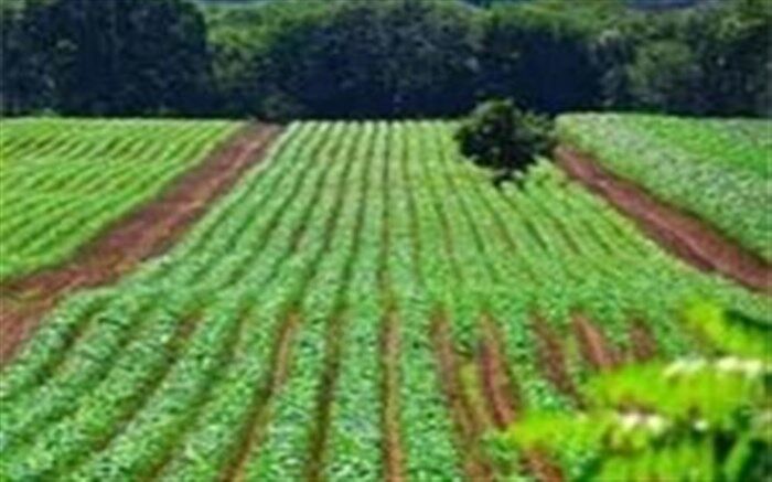 بهره‌برداری از ۶۴ پروژه تولیدی و عمرانی در هفته دولت در اردبیل