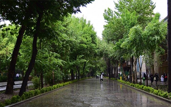 کاهش دما در نوار شمالی کشور