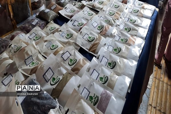 بازید معاون استاندار و  فرماندار شهر  مشهد از نمایشگاه دست آوردهای طهورا