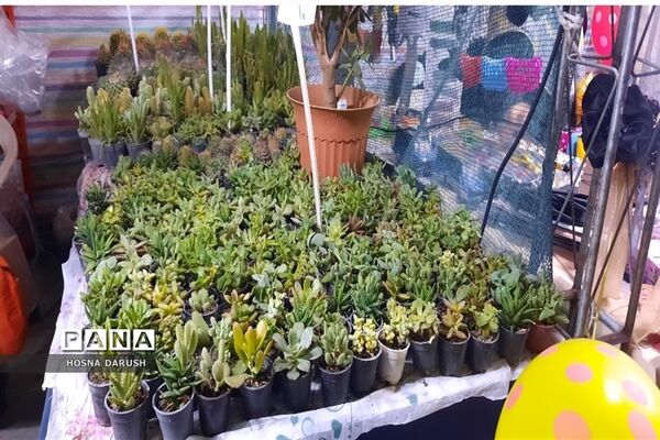بازید معاون استاندار و  فرماندار شهر  مشهد از نمایشگاه دست آوردهای طهورا