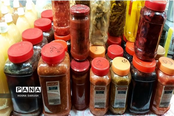 بازید معاون استاندار و  فرماندار شهر  مشهد از نمایشگاه دست آوردهای طهورا