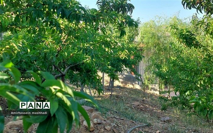 تغییر کاربری باغات، خط قرمز این اداره کل  است