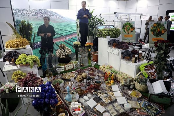 افتتاح نمایشگاه روایت خدمت