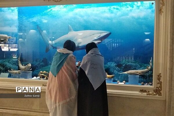 بازدید دانش‌آموزان زیارت اولی استان فارس از موزه رضوی