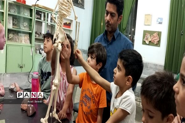 برگزاری جشنواره دانشمند کوچک درکاشمر