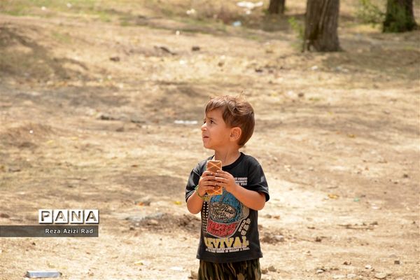 نگین سرخ‌فام آذربایجان از تولید تا فرآوری