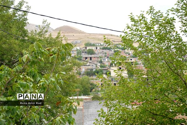 نگین سرخ‌فام آذربایجان از تولید تا فرآوری