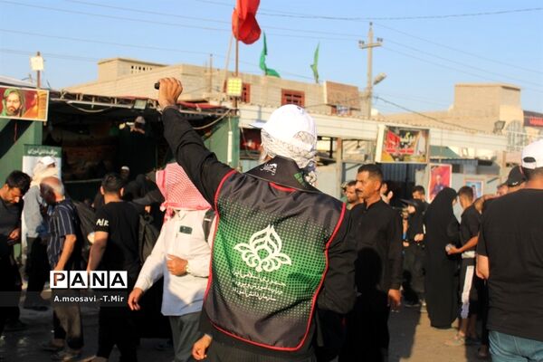 مسیر نجف تا کربلا مملو از عاشقان حسین