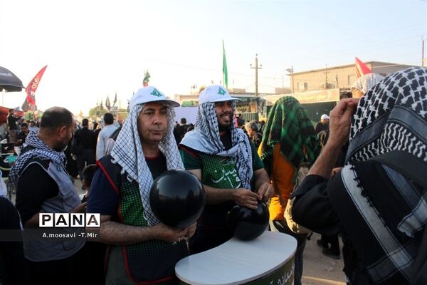 مسیر نجف تا کربلا مملو از عاشقان حسین
