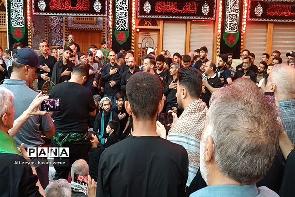 کربلای معلی در اربعین ۱۴۰۲ با حضور پر شور زائران امام حسین (ع)