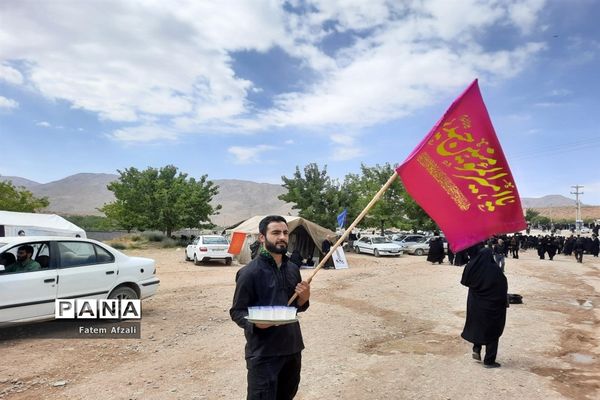 پیاده‌روی دلدادگان حسینی شهرستان اقلید