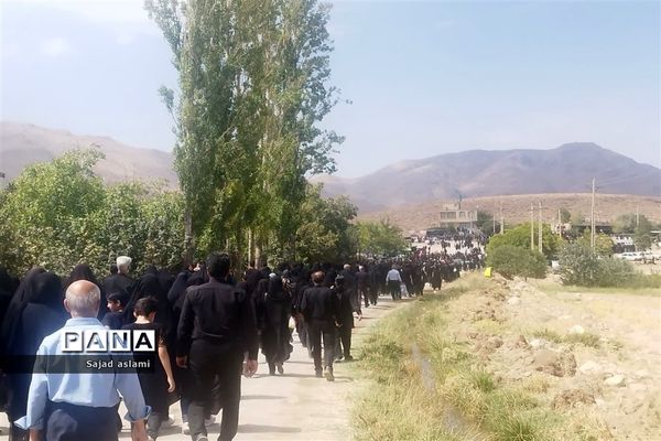 پیاده‌روی دلدادگان حسینی شهرستان اقلید