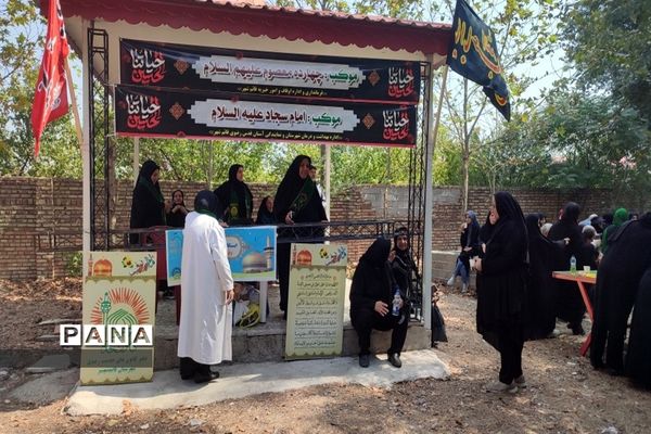 مراسم پیاده‌روی حرم تا حرم دلداگان حسینی در قائمشهر