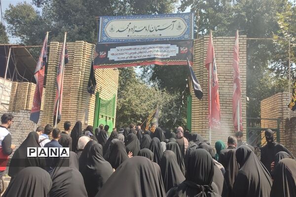 مراسم پیاده‌روی حرم تا حرم دلداگان حسینی در قائمشهر
