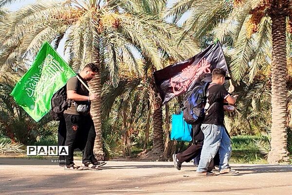 پیاده‌روی از مسیر العلما تا کربلای معلی