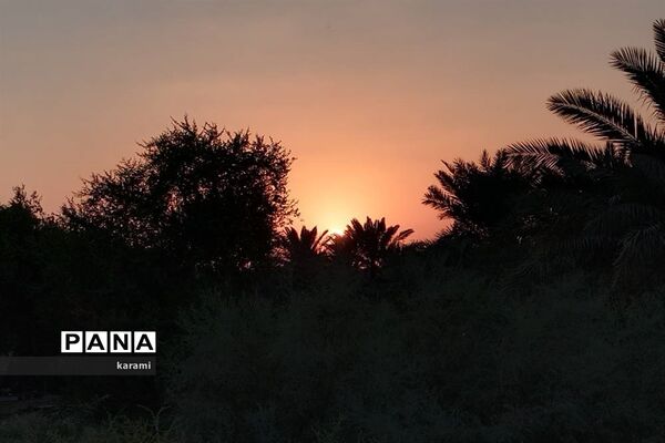 پیاده‌روی از مسیر العلما تا کربلای معلی